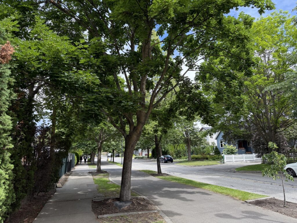 abbot street kelowna heritage conservation area