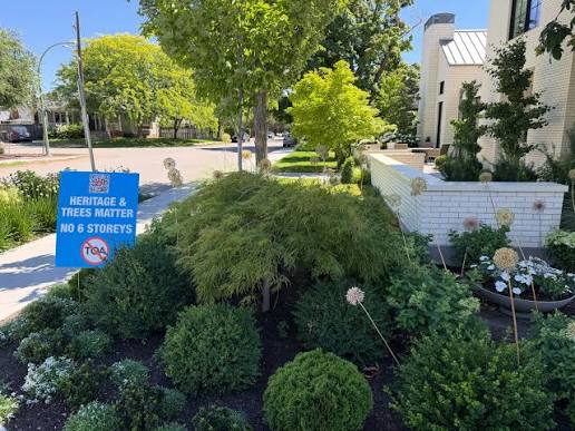 Garden with protest sign about trees